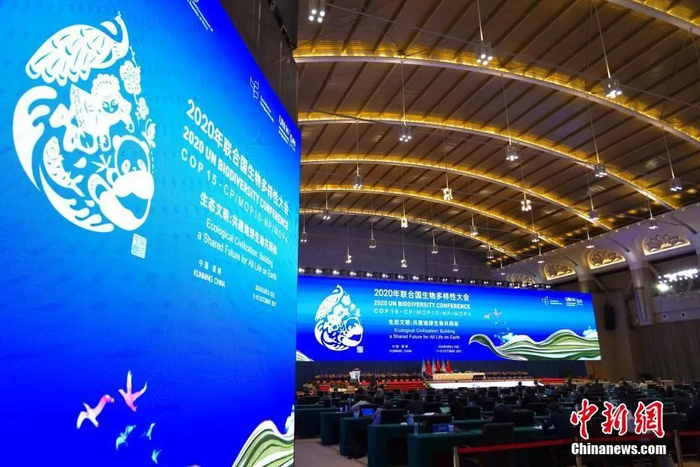 资料图：10月15日，《生物多样性公约》第十五次缔约方大会第一阶段会议在云南昆明闭幕。中新社记者 崔楠 摄