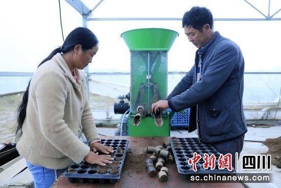 基地员工在制作植播。 王磊 摄