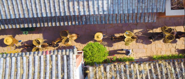 云南省发展和改革委员会供图