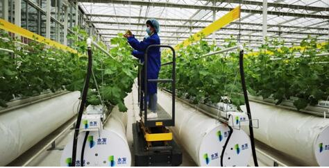 水发农业集团投建的新疆喀什疏勒县现代农业业园