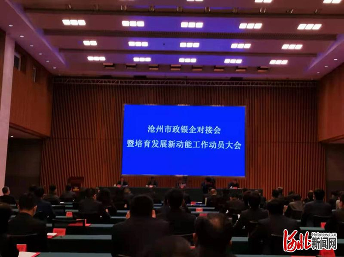 沧州市政银企对接会暨培育发展新动能工作动员大会现场。河北日报记者戴绍志摄