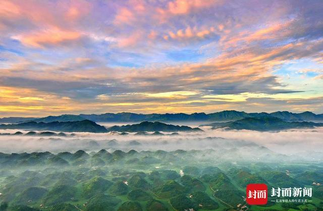 宜宾拥有丰富的竹资源。（宜宾市委宣传部供图）