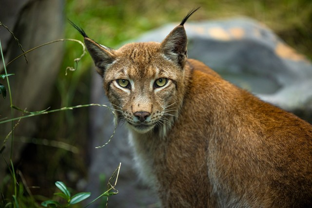 1/500秒快门速度的照片