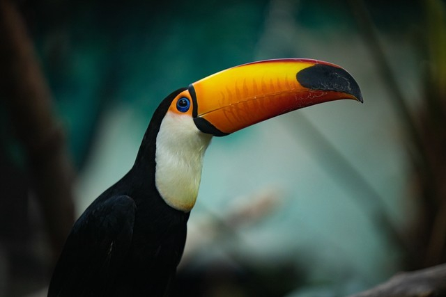 1/4000秒快门速度的照片