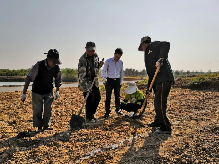 ▲赵大球在田间指导农户