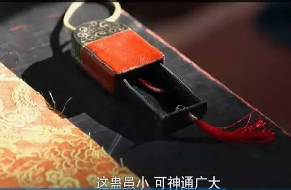 ▲影视剧中的蛊虫。来源：《芈月传》电视剧