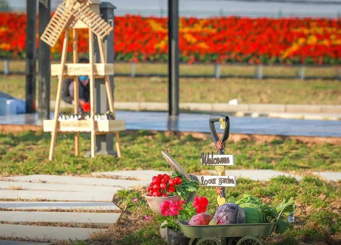 河北捷如美农业展示示范园观摩现场。（南方农村报供图