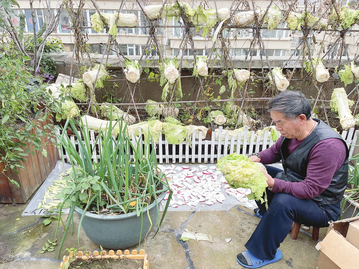  又到秋菜季，不少市民开始忙着把各种秋菜搬回家里，对于老年人来说，这是一种习惯，更是一种情怀。 本报记者 吴茗 摄