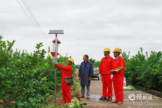 ▲国家电网红岩共产党员服务队在潼南柏梓镇柠檬基地为种植户检查太阳能除虫设备