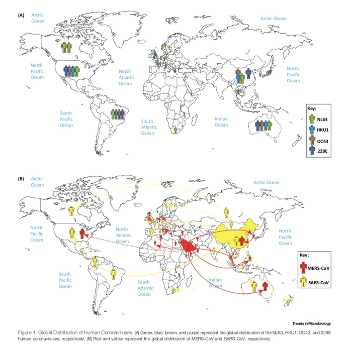 　　全球人类冠状病毒分布。来源：高福等人发表的论文“Epidemiology， Genetic Recombination，and Pathogenesis of Coronaviruses”。