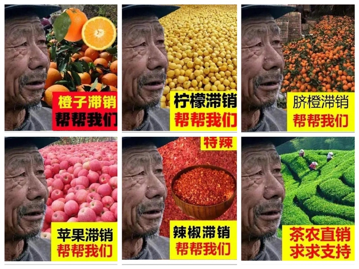为不同农产品代言的“辛勤老农”
