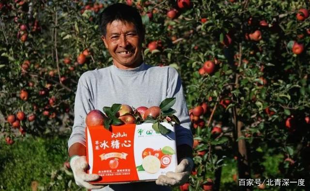 盐源苹果种植户廖顺安    摄影/李里