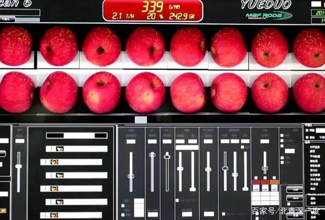 高频相机给每个苹果要拍32张照片，对应尺寸、颜色、质量等数据  摄影/李浩