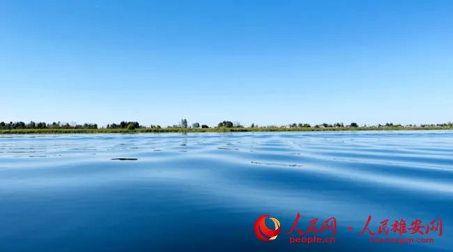 白洋淀东淀头村附近水域风光。人民网刘师豪 摄