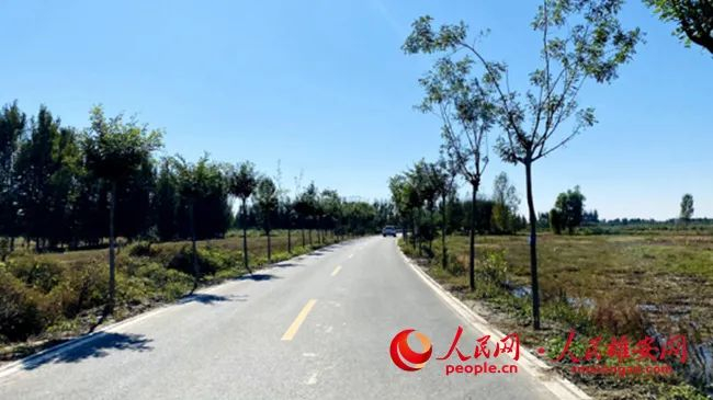 通往东淀头村的旅游路已经通车。人民网刘师豪 摄