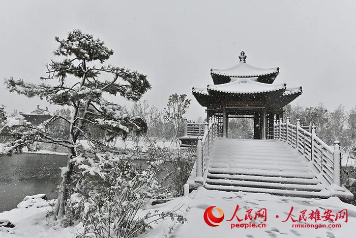 雄安雪景。刘向阳摄