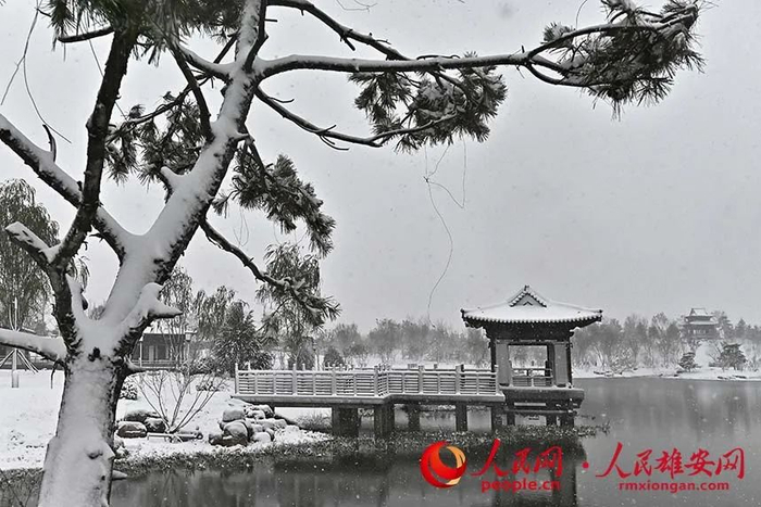 雄安雪景。刘向阳摄