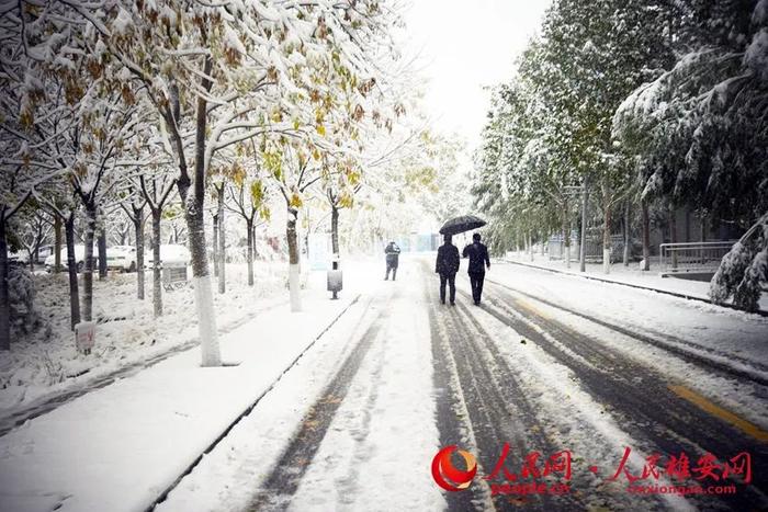 雪中的市民服务中心。刘向阳摄