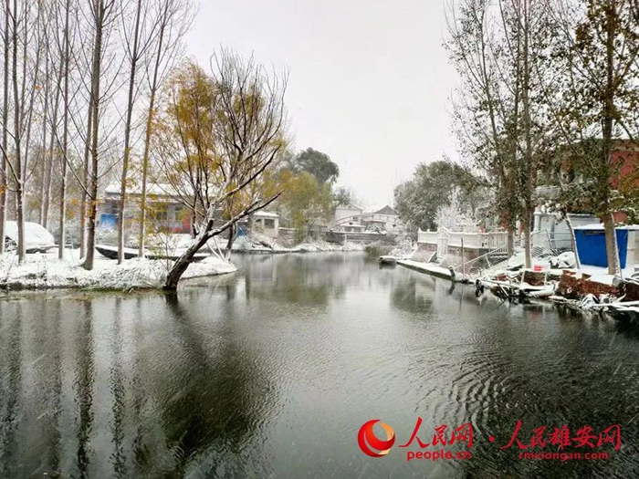 安新县东淀头村银装素裹。郭萌萌摄