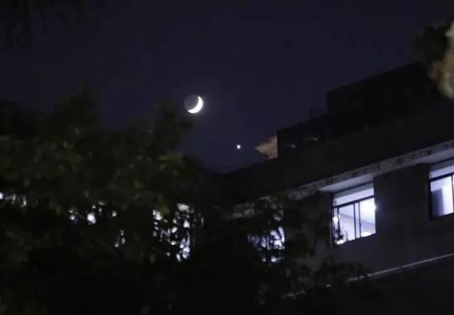 ▲上图就是田老师拍的。