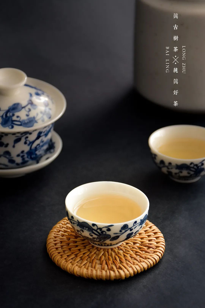 ▲百龄龙珠：生普