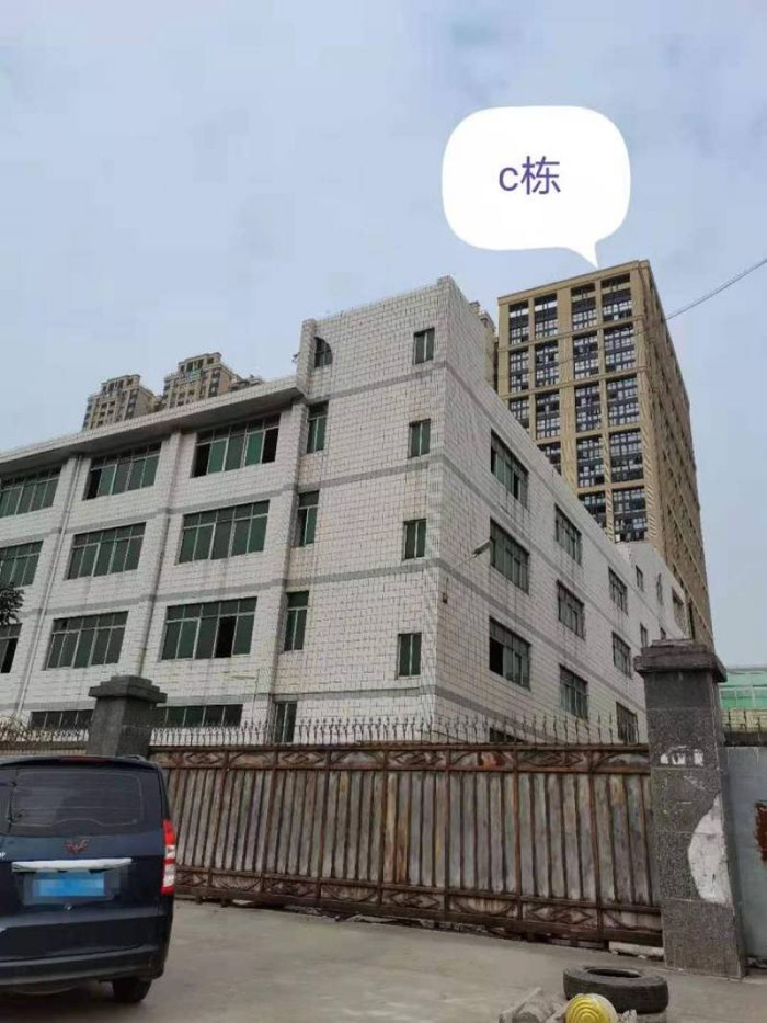 天玑公馆C栋外观。 张慧敏 摄