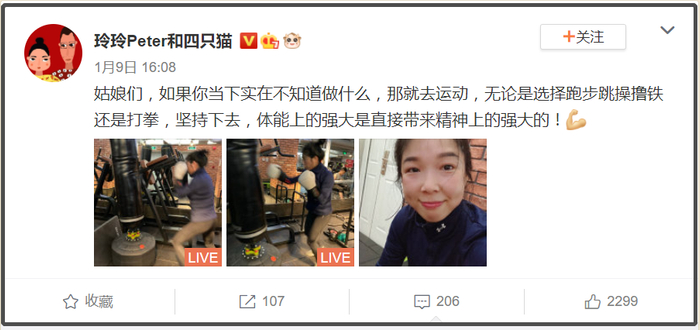 图片来源：玲玲Peter和四只猫