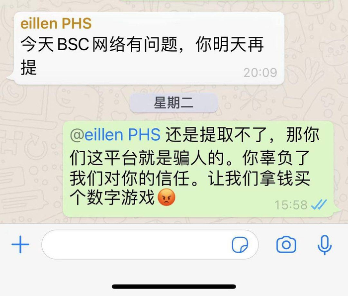 向先生与平台客服对话 受访者供图