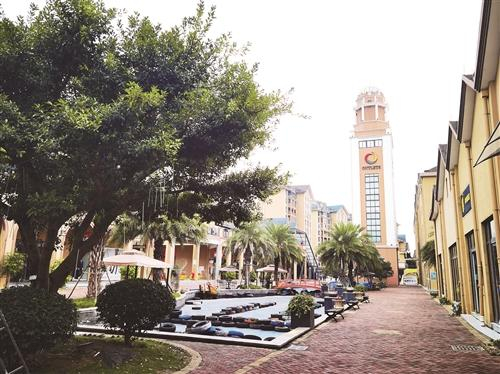 本报记者彭 洁文/摄