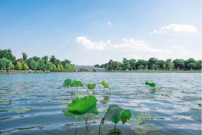 云南省发展和改革委员会供图