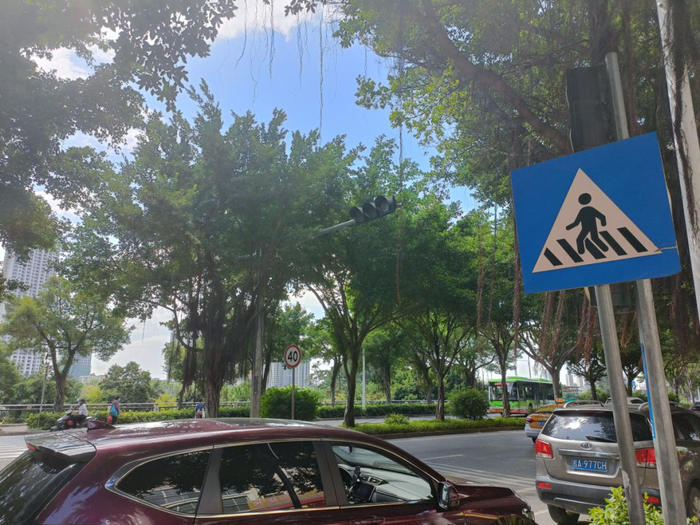 △南宁沛鸿小学前人行横道