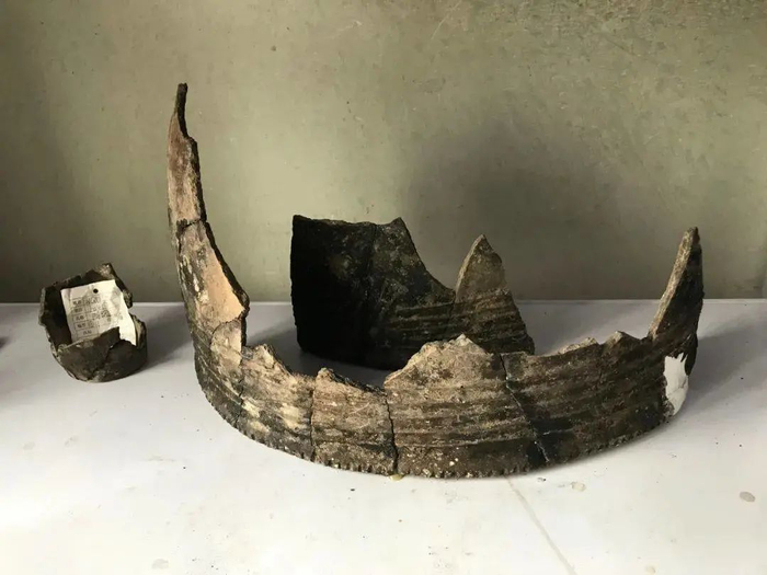 ▲新出土的四千多年前的骨梗石刃剑和骨梗