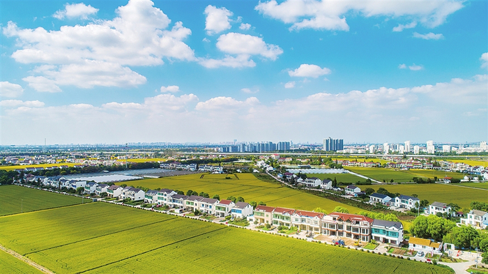 近年来，南丰镇做强村级经济，打造善治样板，走出乡村振兴新路径。（南丰镇供图）