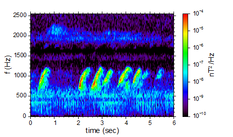 图：卫星观测到的合声波频谱所展现出的扫频结构
