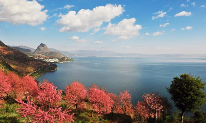 金云龙 李任贤 摄