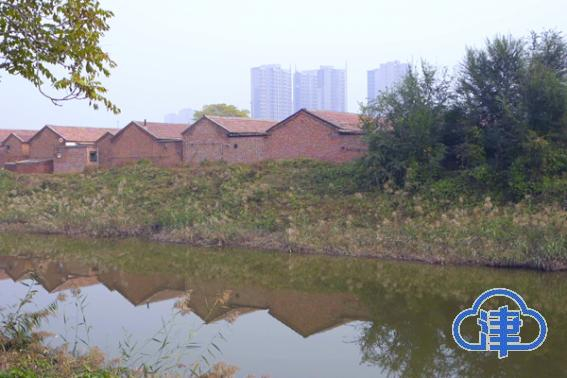 张孟良家门前的大运河