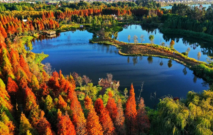 昆明滇池湿地 崔庆江 摄