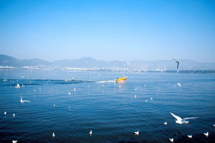 杨峥 李秋明 摄