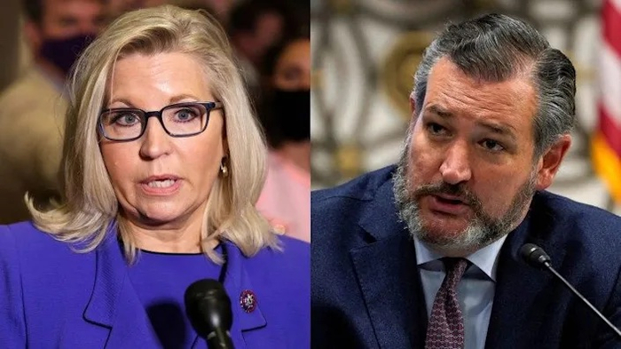 德州共和党参议员特德·克鲁兹嘲讽莉兹·切尼：如果真要参加2024年竞选总统，应该代表民主党参选 &nbsp;&nbsp;&nbsp; 图源/福克斯新闻