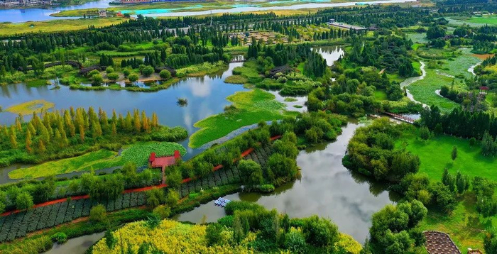 昆明宝丰湿地 张彤 摄