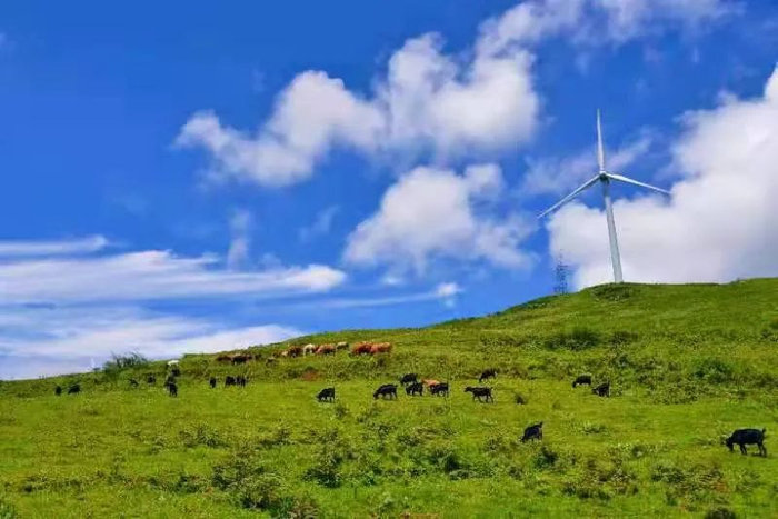 丘北舍得草场 文山州委宣传部 供图 曾炜炜 摄