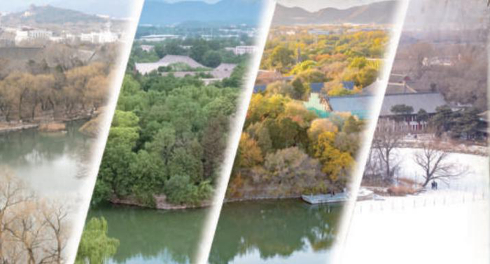 燕园四季 马超摄