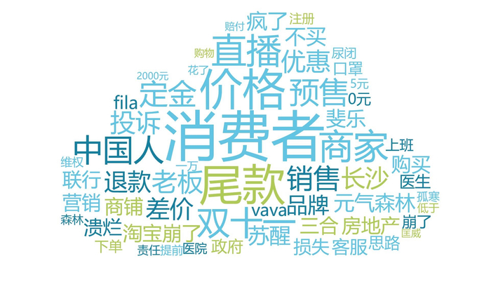 图5有关价格争议负面信息词云图