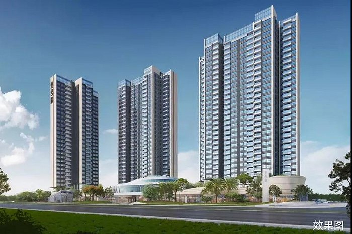 图片来源：项目资料