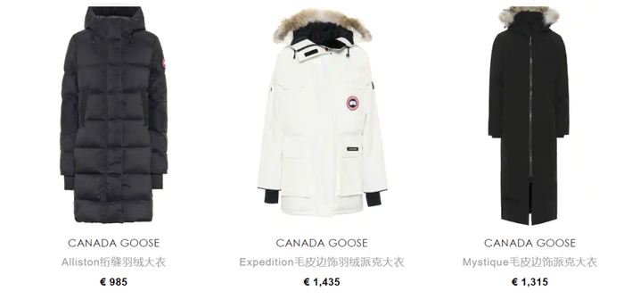 图片来源：加拿大鹅中国官网截图