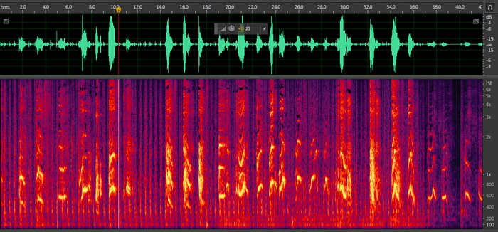 图源：受访者供图