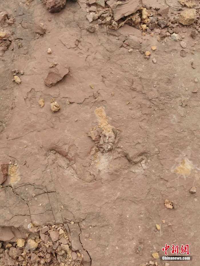 首枚发现的兽脚类恐龙足迹。邢立达团队 供图