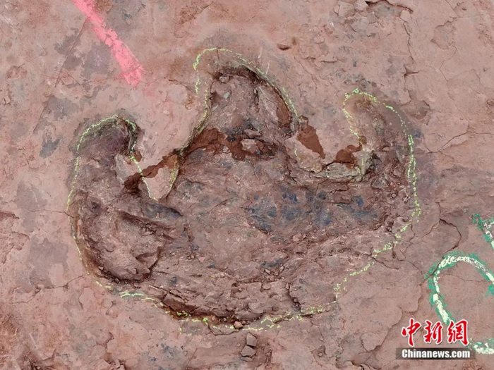 鸭嘴龙类足迹。邢立达团队 供图