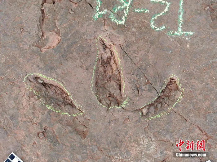 肉食性兽脚类足迹。邢立达团队 供图