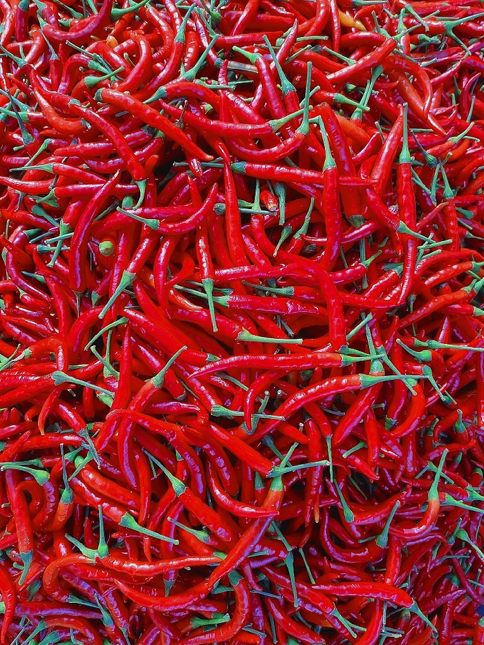 图源：视觉中国